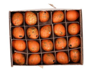 Jajka przepiórcze - naturalne WAQ60-1