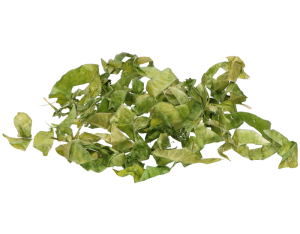 Susz dekoracyjny 455682