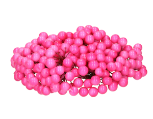 Jarzębina na druciku MYH197592-3