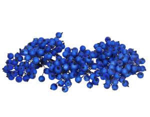 Jarzębina oszroniona  MYH197591-4