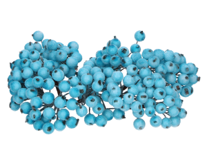 Jarzębina oszroniona  MYH197591-6