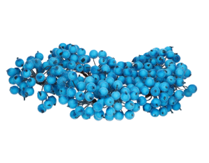 Jarzębina oszroniona  MYH197591-7