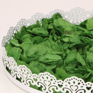 Susz płatki ozdobne zielone 100g 
