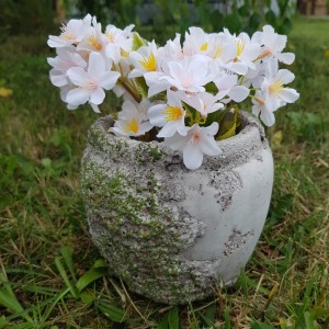 Osłonka kamienna z mchem okrągła 12 cm