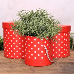 Flowerbox Pudełko w kropki czerwone komplet 3szt