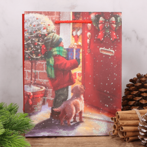 Torebka świąteczna papierowa 23x18 cm 