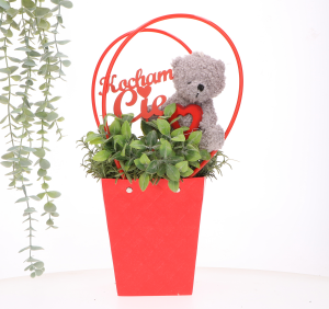 Torebka na Kwiaty Czerwona