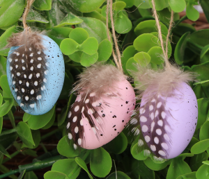 JAJKA W TUBIE 4 CM 12szt.