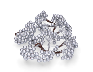 Jarzębina na druciku MYH195987