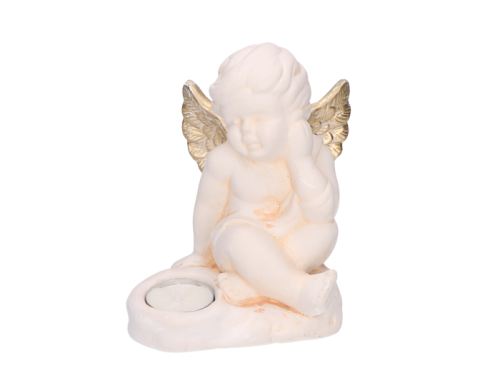 aniol482 8_2D_0001_large.png