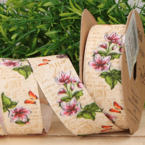 myh134533 motyle_0008k.jpg