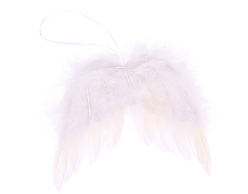 skrzydła-z-piór-MYH192949_2D_0002_large.png