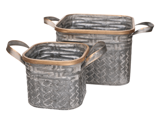 mikołajczyk 31.01.2022_0003.png