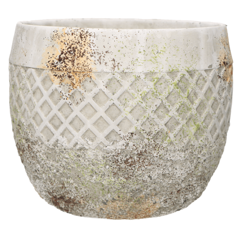 mikołajczyk 2.02.2022 II_0021.png