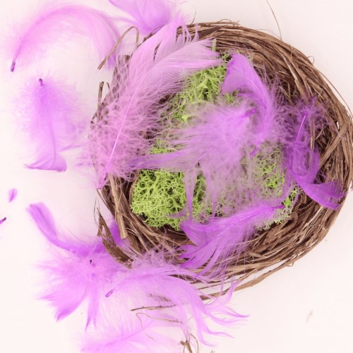 PIÓRKA KOLOROWE_0018k.jpg