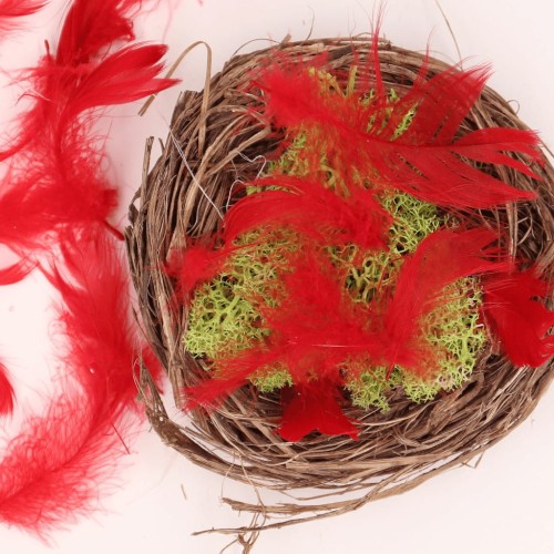 PIÓRKA KOLOROWE_0010k.jpg