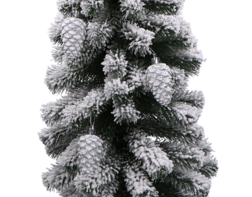 szyszki_myh196328_2D_0004_large.png
