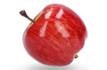 MYH196030_2D_0007_large.png