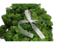 wstazka_brokatowa_srebrna_1_5cm_2D_0001_large.png