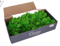 mech_chrobotek_500g_zielony_green_480319_2D_0003_large.png