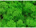 mech_chrobotek_500g_zielony_green_480319_2D_0002_large.png