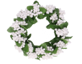 myh196070-bialy_2D_0001_large.png