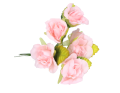 myh197349_roz_2D_0004_large.png