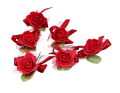 myh196085_bordo_2D_0002_large.png