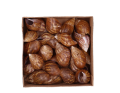 muszle_18_50_2D_0001_large.png