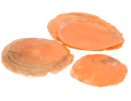 405301_2D_0001_large.png