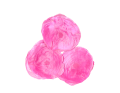 405306_2D_0002_large.png
