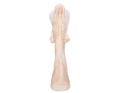 aniol100-13_2D_0001_large.png