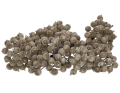 myh197590_2D_0002_large.png
