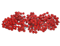 myh197591-1_2D_0002_large.png
