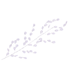 myh193559_2D_0001_large.png