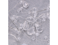 myh190113 na srebrnym tle_2D_0003_large.png