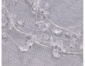 myh190114_2D_0002_large.png
