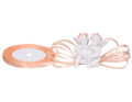 myh190431_2D_0001_large.png