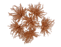 myh195871-4_2D_0002_large.png