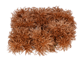 myh195871-4_2D_0001_large.png