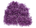 myh195871-8_2D_0001_large.png