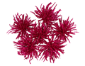 myh195871-9_2D_0002_large.png