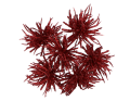 myh195871-10_2D_0002_large.png