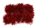 myh195871-10_2D_0001_large.png