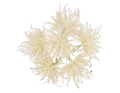 myh195871-13_2D_0002_large.png