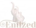 zxcc.jpg