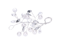 MYH192724_2D_0002_large.png