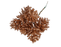 MYH197583-5_2D_0002_large.png