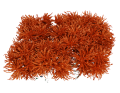 myh195871-5_2D_0001_large.png