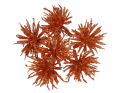 myh195871-5_2D_0002_large.png